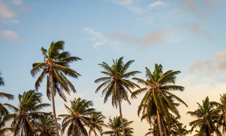 Luxury Travel Caribbean