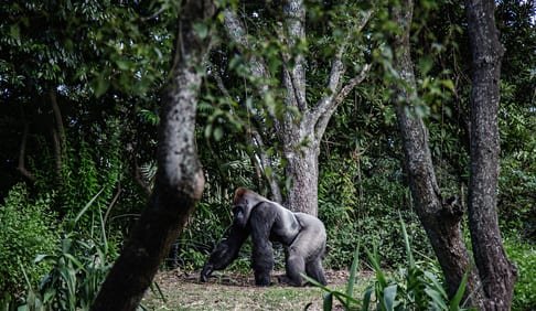 Holidays in Rwanda