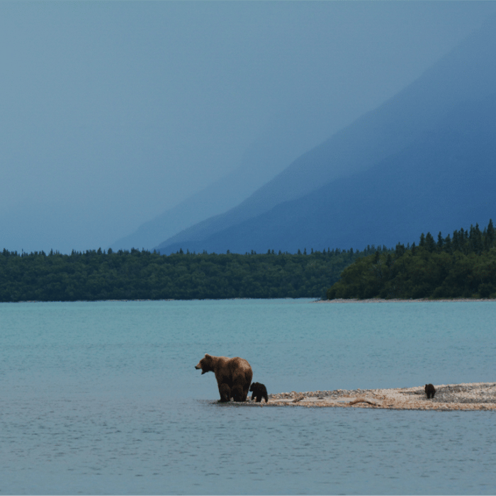 Alaska, One Week to Wander, Black Tomato, Luxury Travel