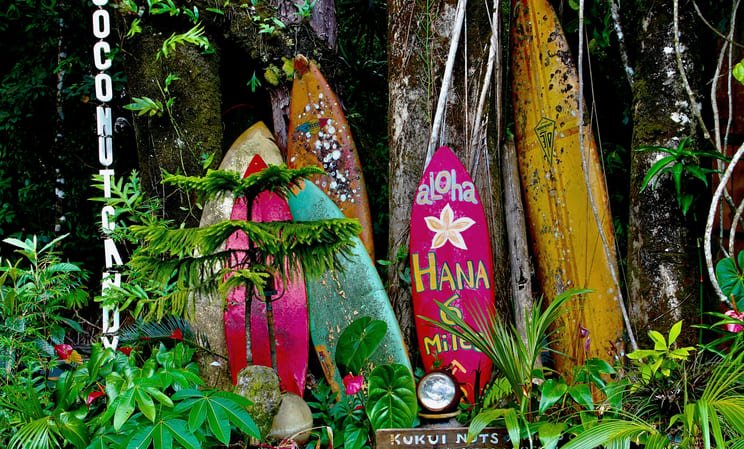 Surfing in Hawaii