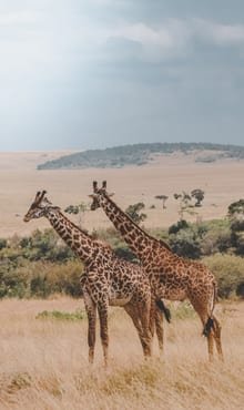 Luxury Travel Kenya, Most Popular