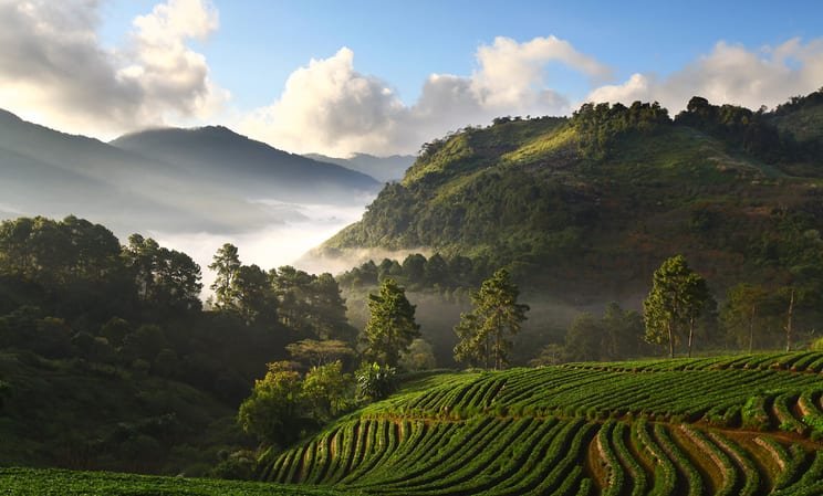 Thailand