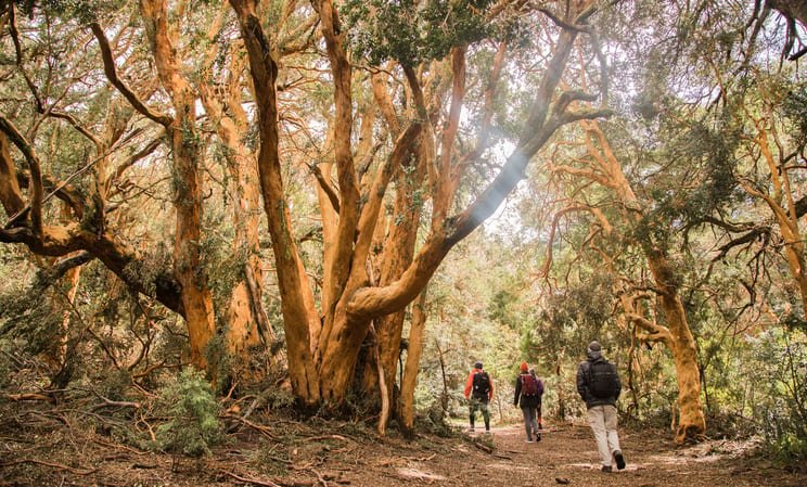 Luxury Family Holiday in Argentina
