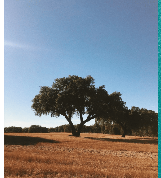 Portugal, One Week to Wander, Black Tomato, Luxury Travel