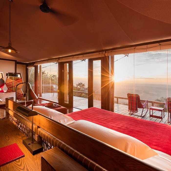 Ultimate Uganda: An Untapped Safari Getaway