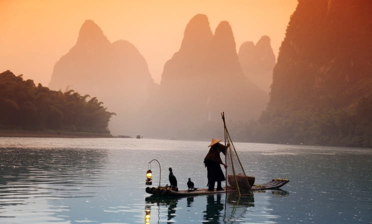 comorant fishing in yangshou in china