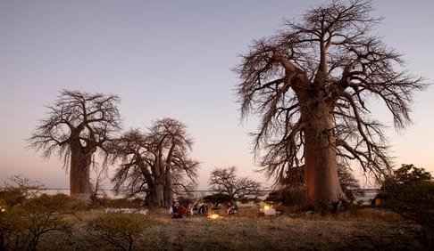 See You in the Moment, Luxury Group Travel, Black Tomato