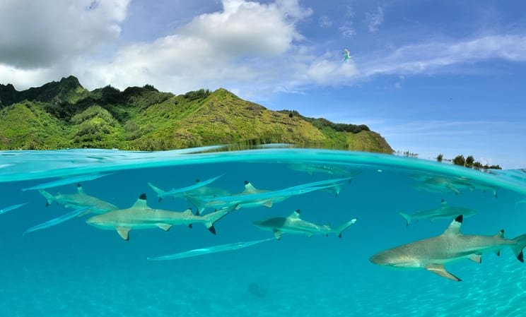 Luxury Holidays in French Polynesia