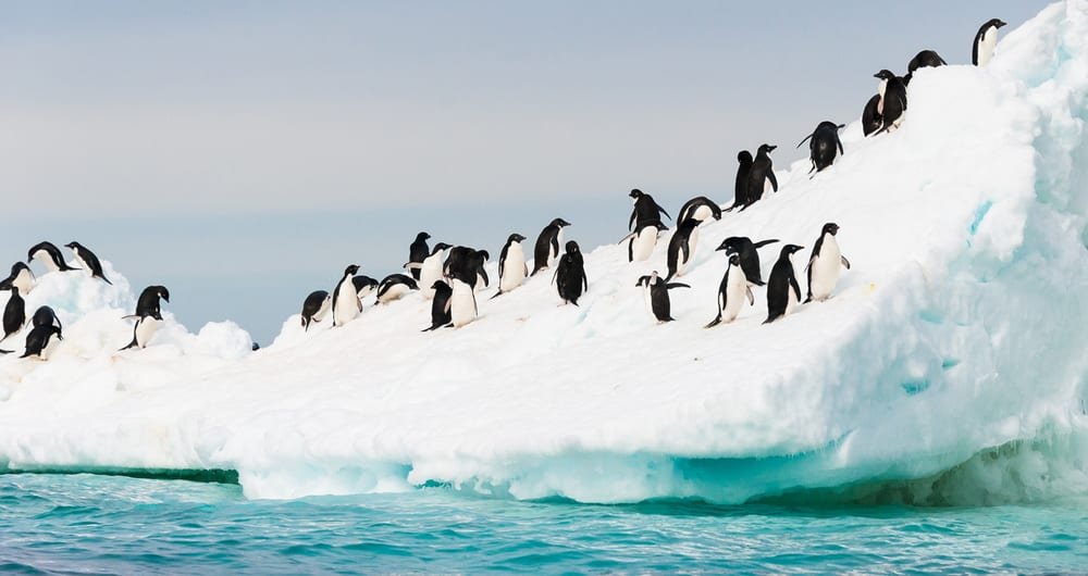 Antarctica Private Yacht Charter