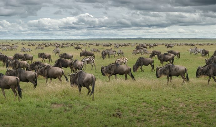A Kenyan Cooking Class and Market Tour