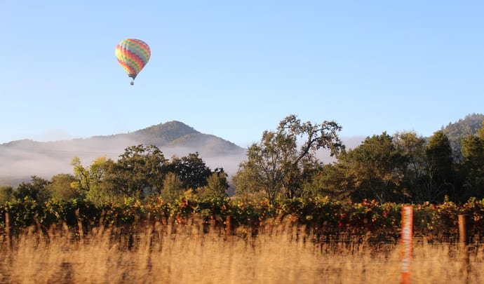A hot air balloon flies over Napa Valley in the USA, North America
