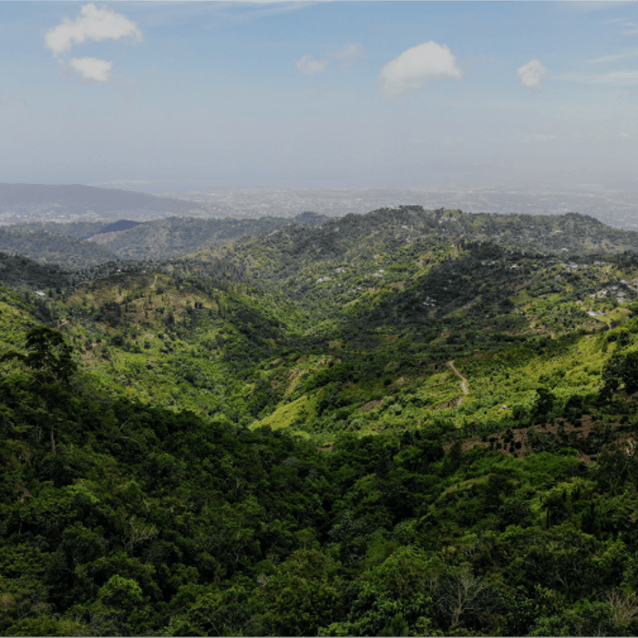 Jamaica, One Week to Wander, Black Tomato, Luxury Travel