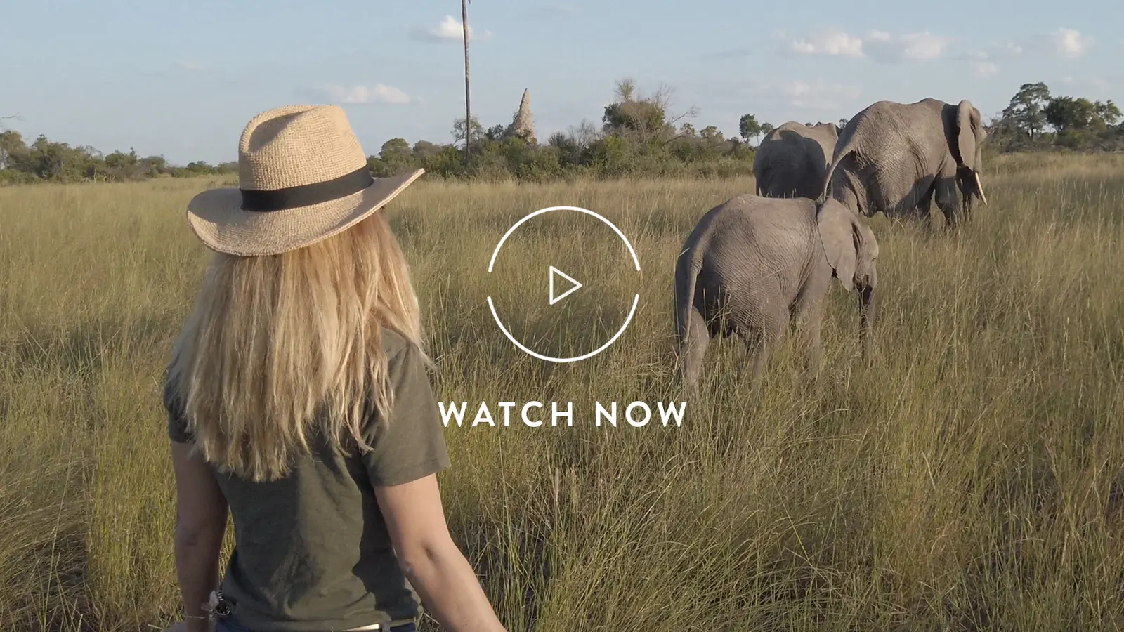 Walking with elephants in Botswana