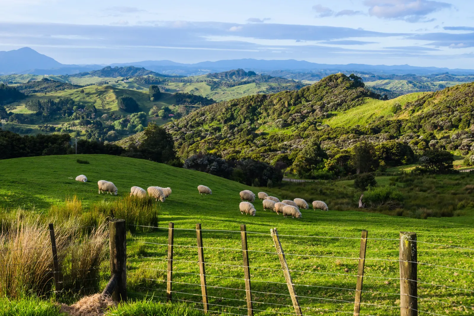 New Zealand luxury travel