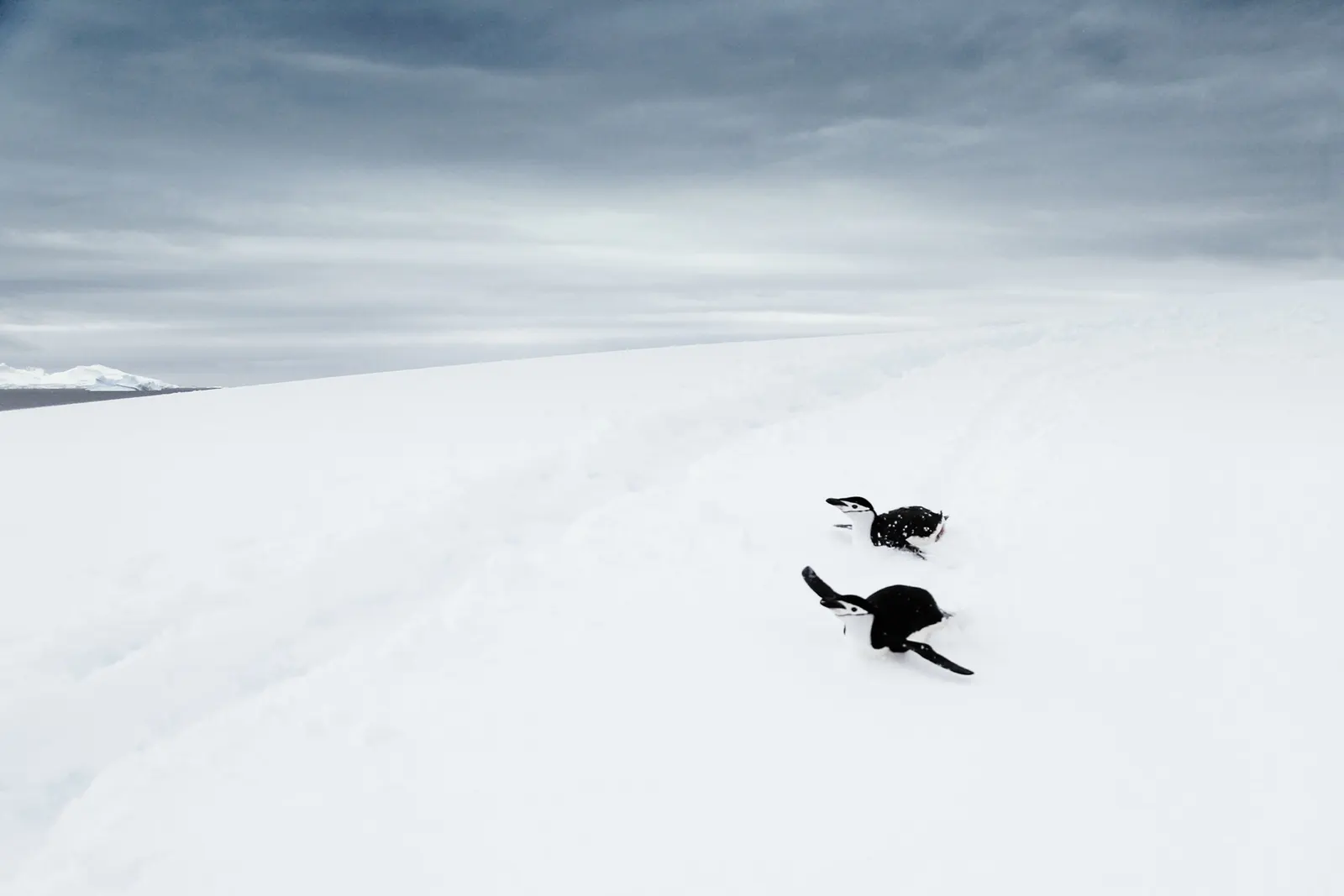 Luxury Holidays in Antarctica