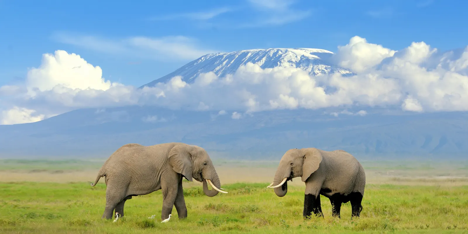 Tanzania & Zanzibar