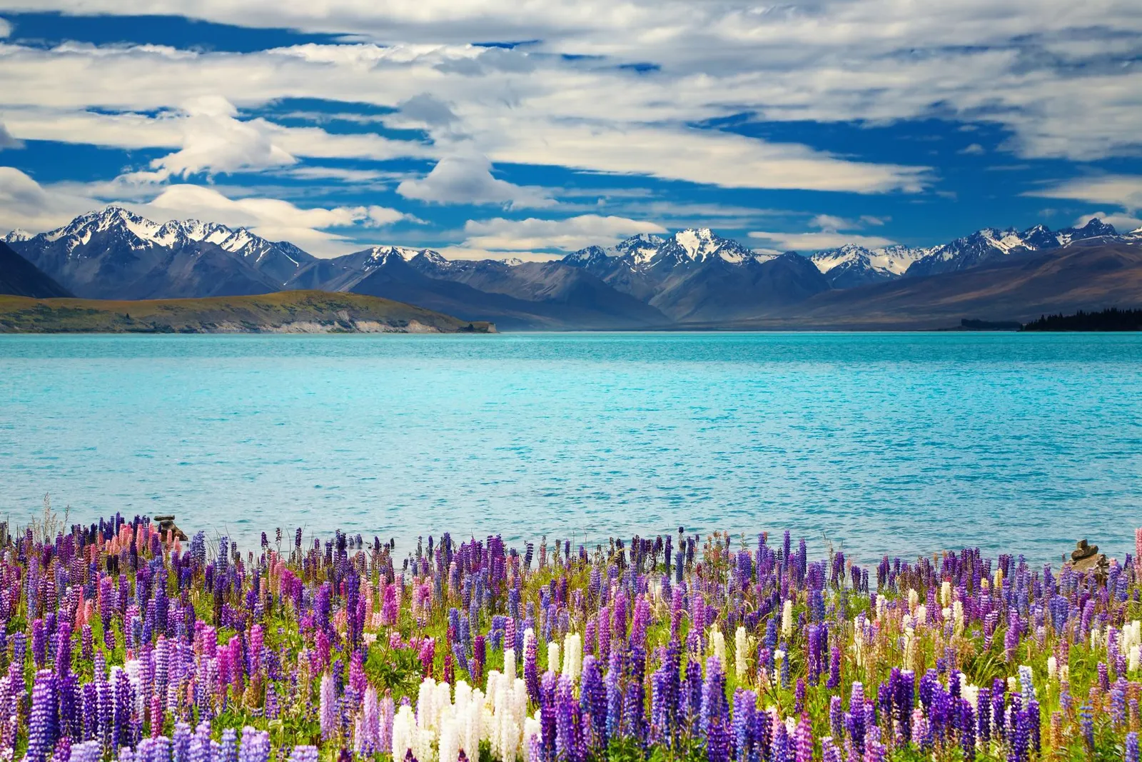 A wilder way: New Zealand & Australia