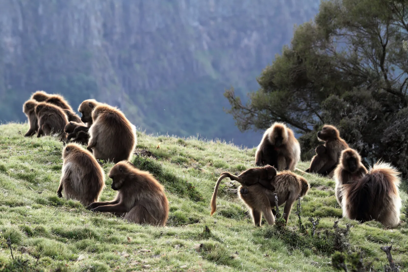 More about Ethiopia