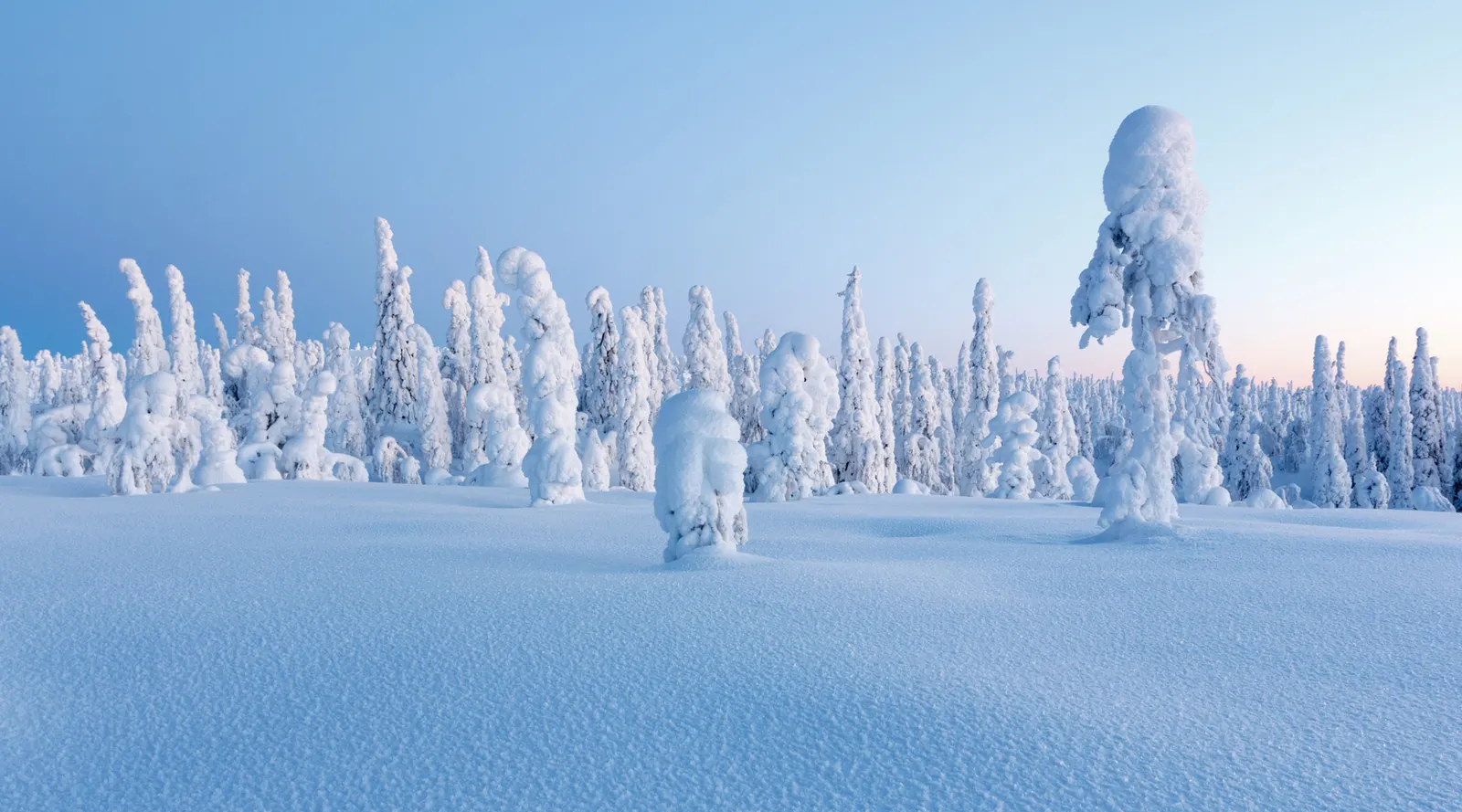 Alaska: Explore the Last Frontier