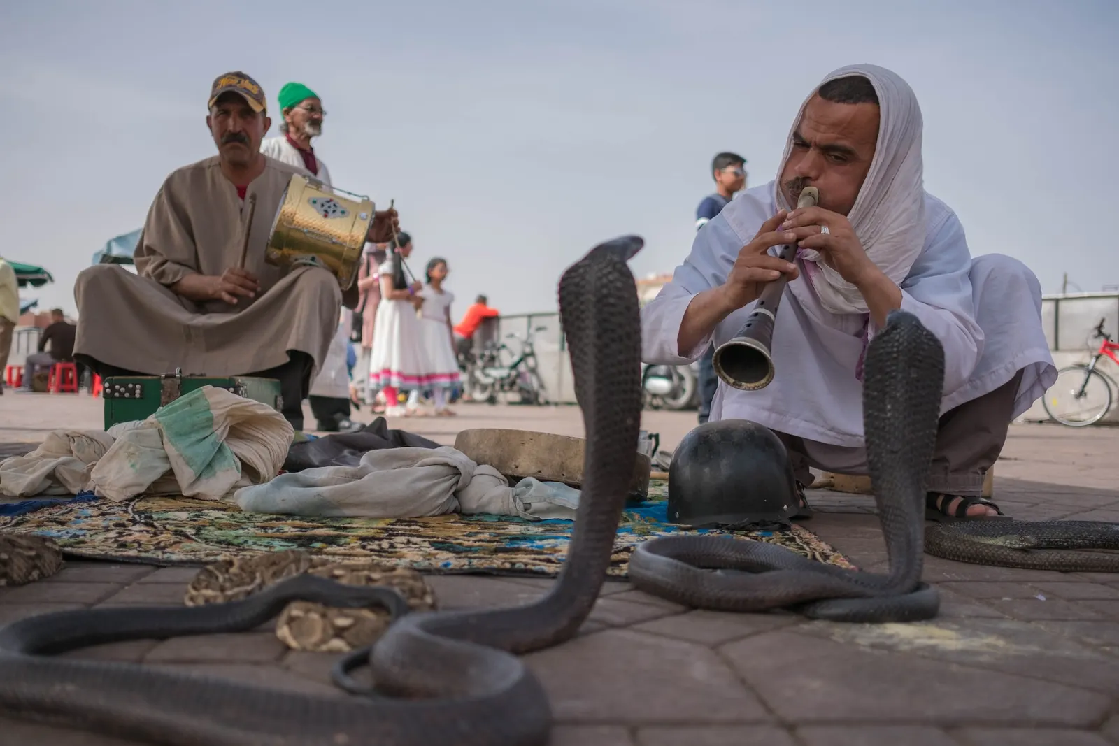 Snake charmer, Morocco