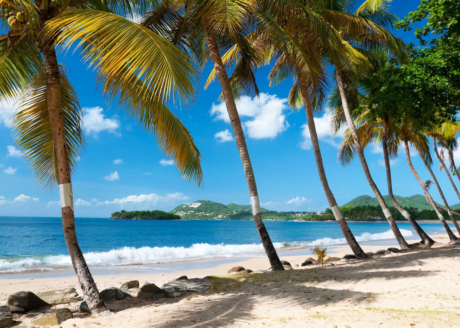 More about St Lucia