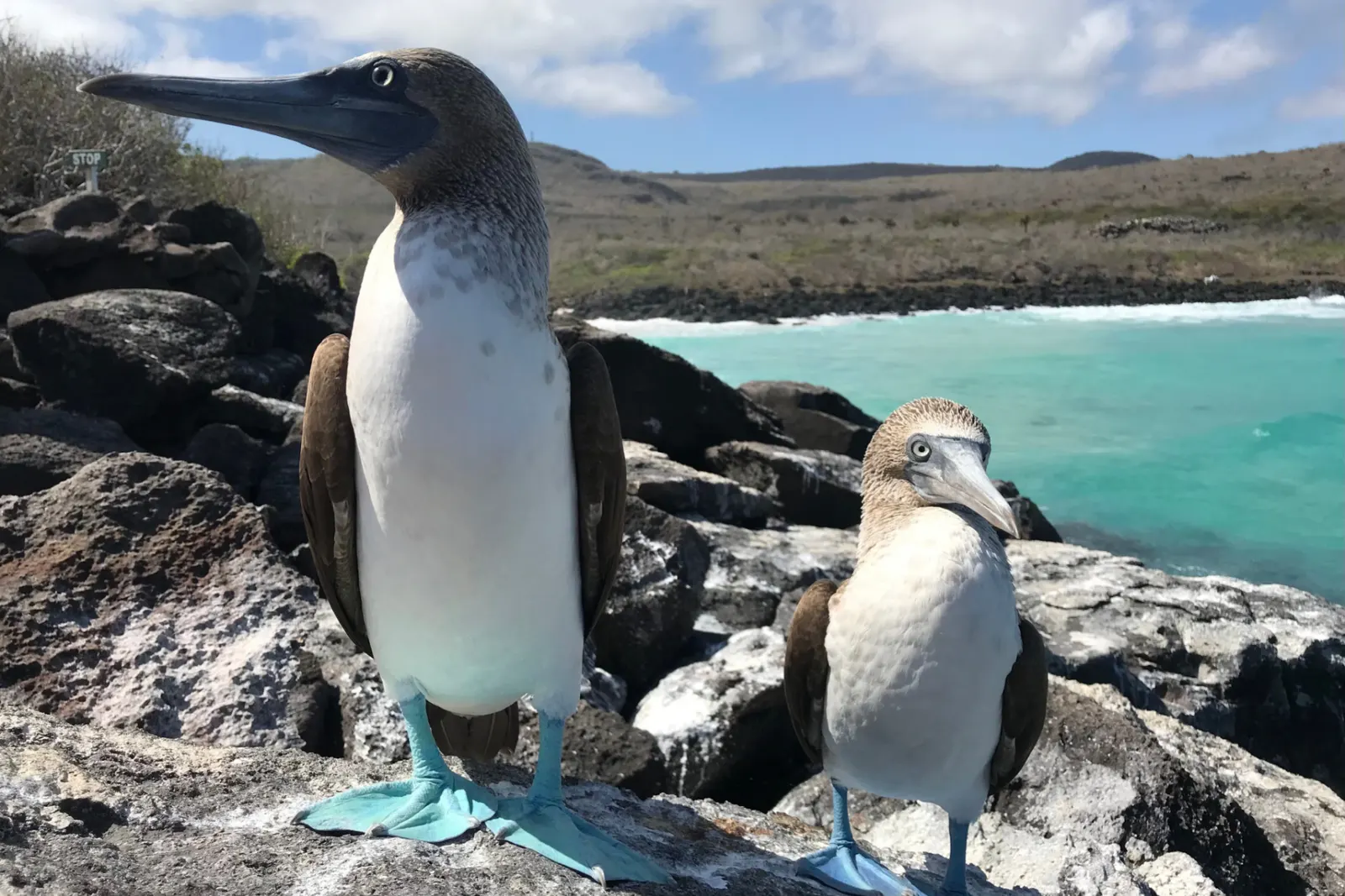 Luxury travel experts