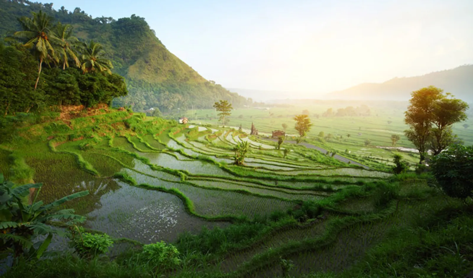 The Art of Kite Making in Bali