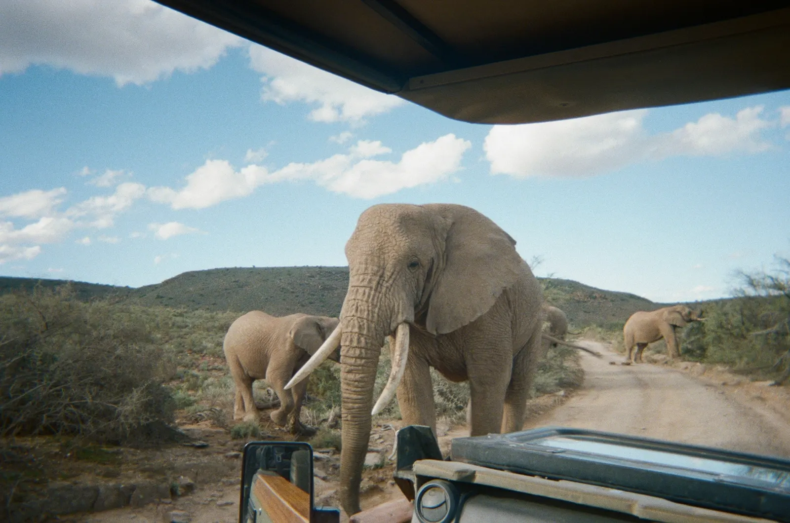 Best of South Africa & Mozambique: The Big Five