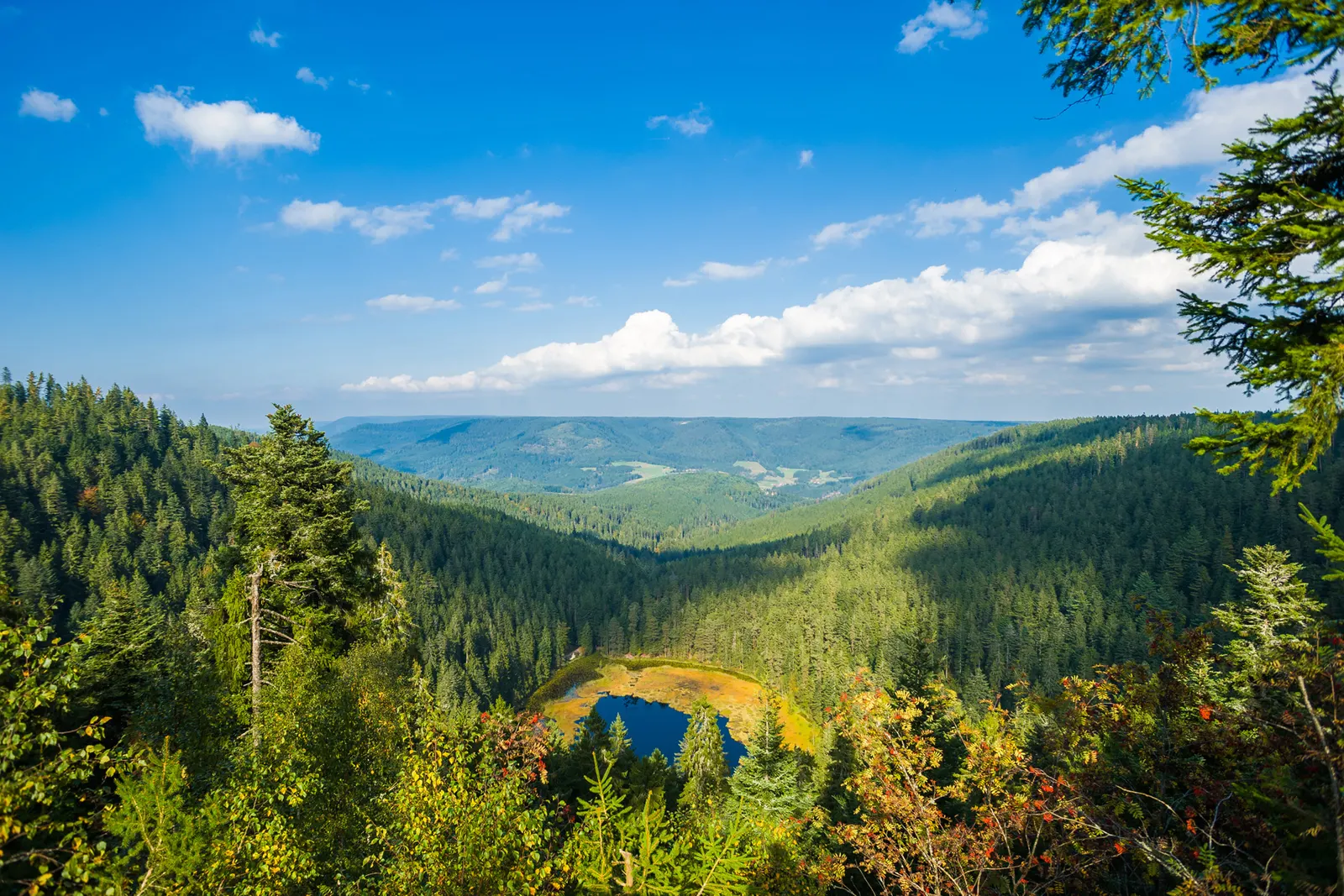 Luxury Holiday in the Black Forest