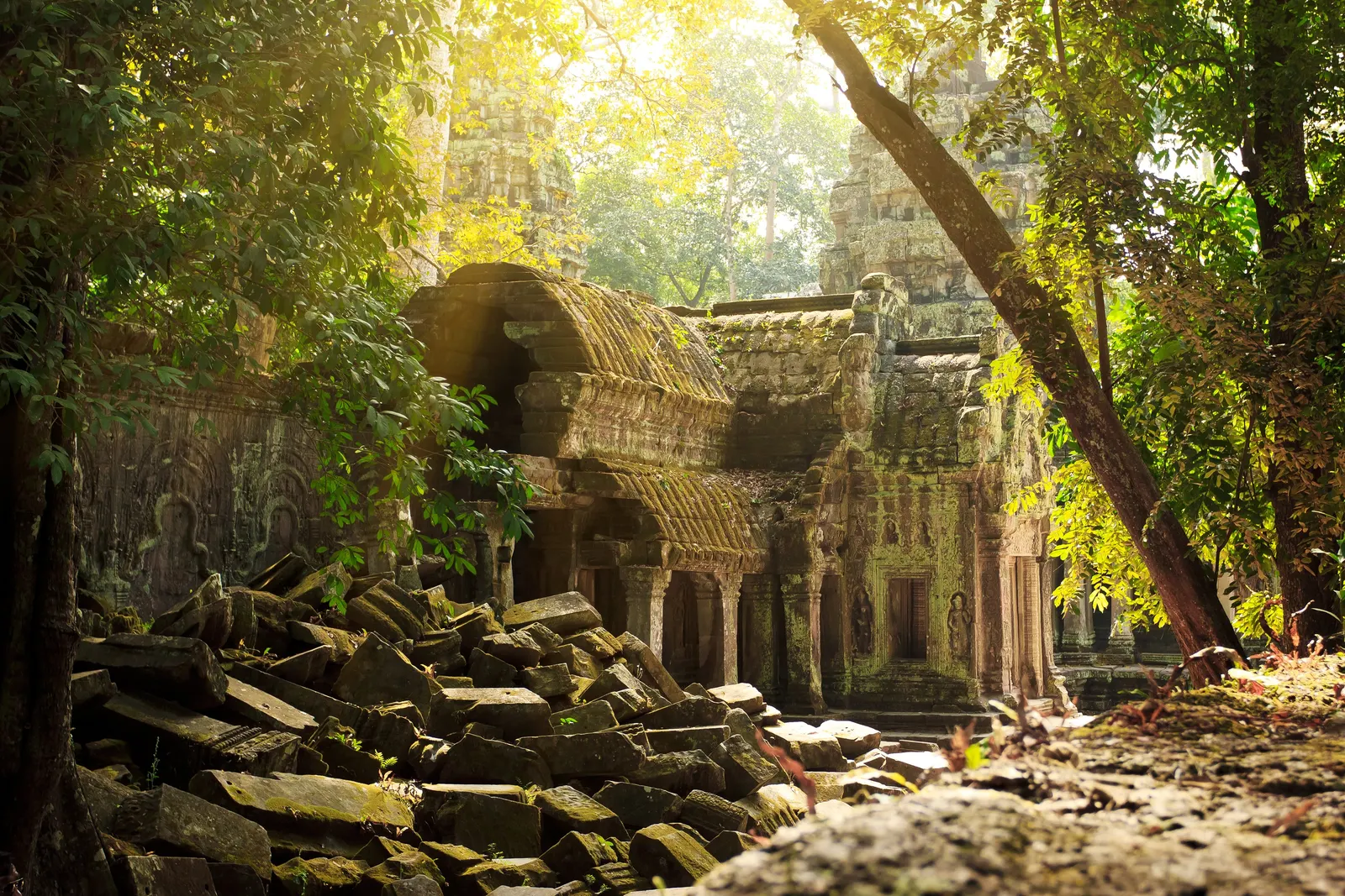 Ta Phrom temple ruins at Angkor in Siem Reap in cambodia