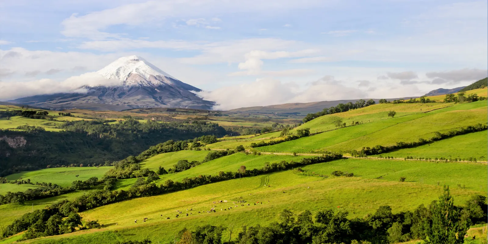 A Gourmet Picnic in the Shadow of Cotopaxi or Quilotoa