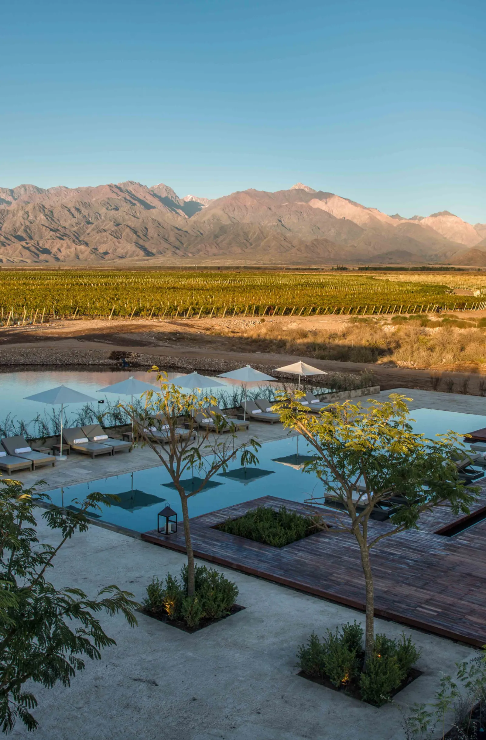 Tasting Notes of Argentina with Fernando Trocca