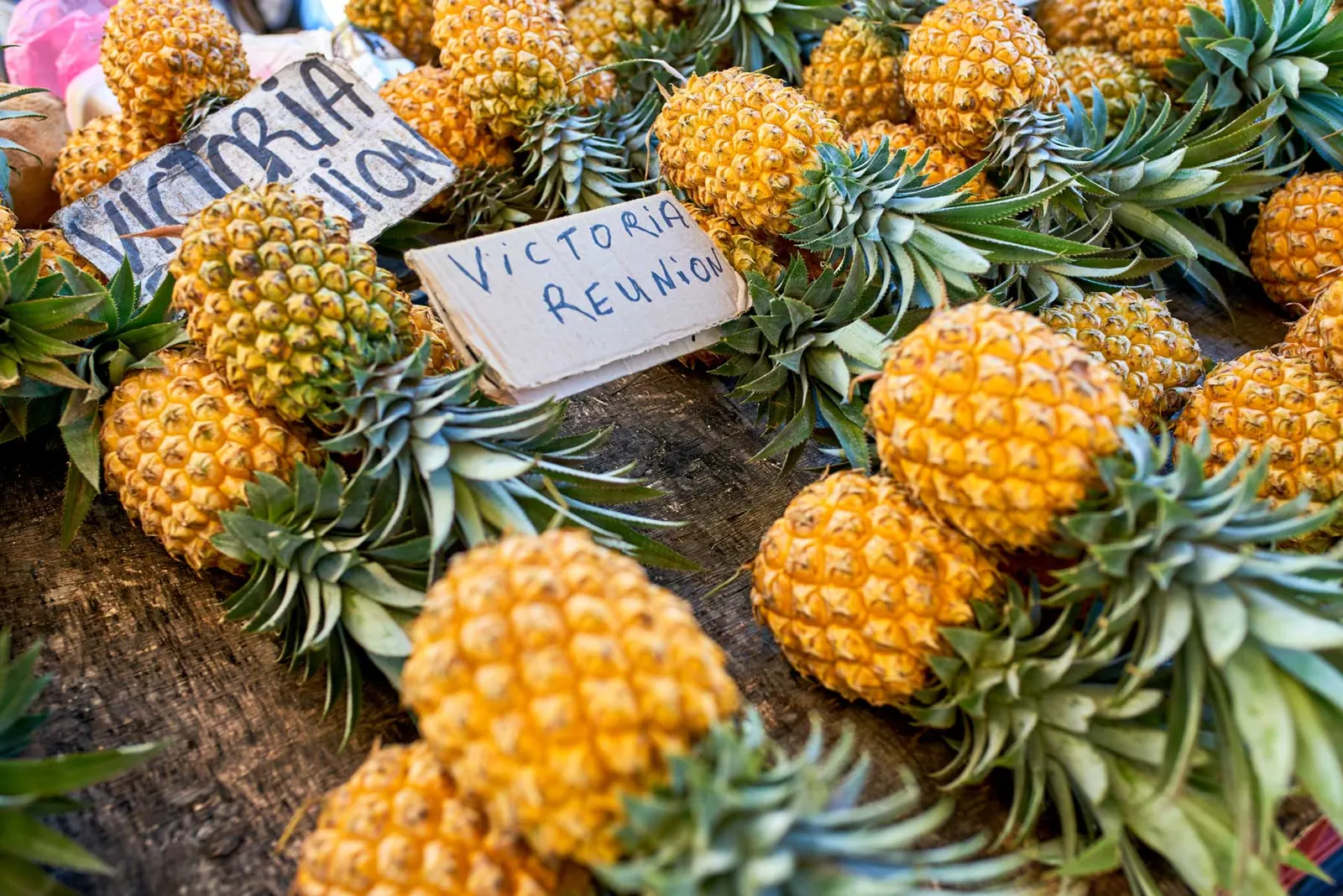 Best luxury hotels on Reunion Island