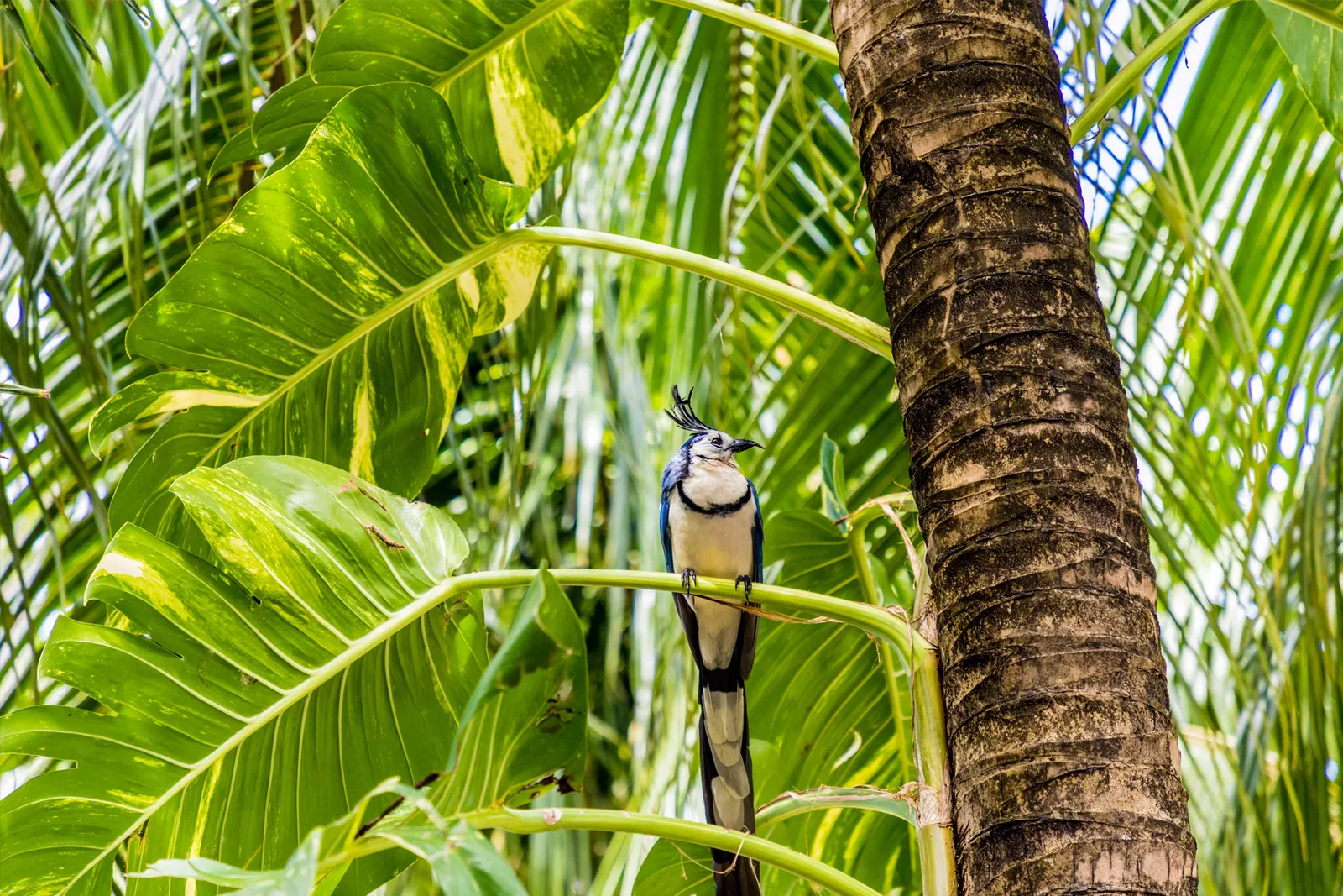 Private tours in Nicaragua