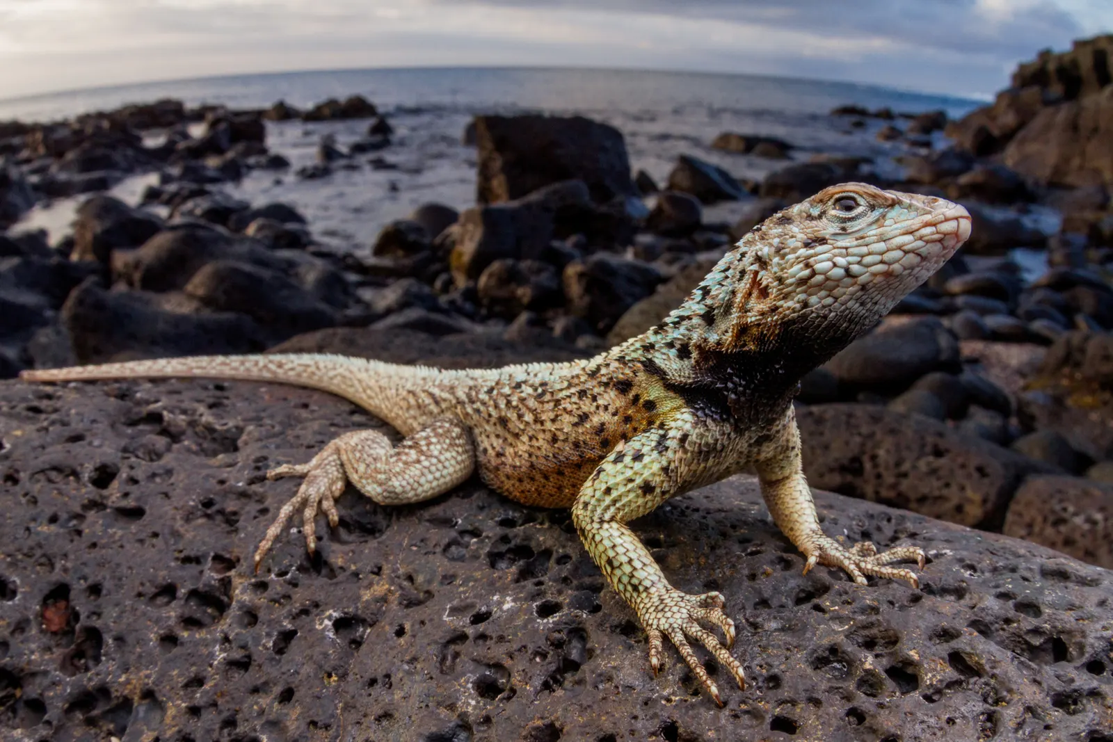 Ecuador & Peru: A luxury holiday from the Galapagos to the Andes