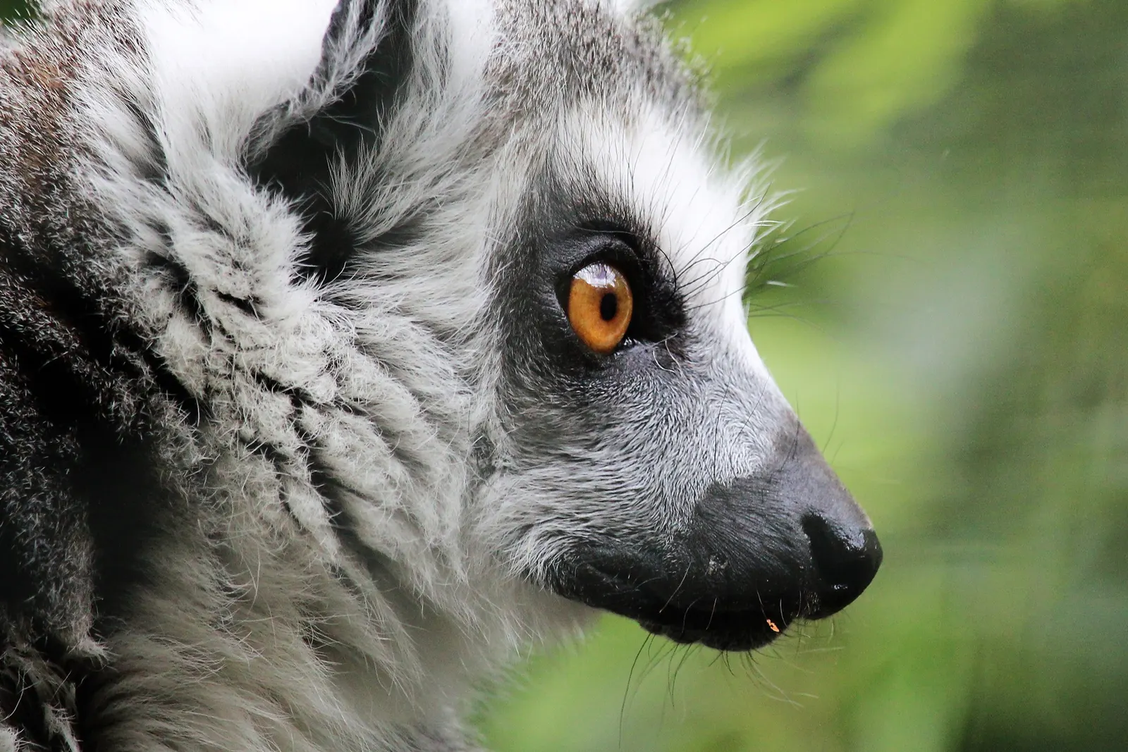 Private Tours in Madagascar