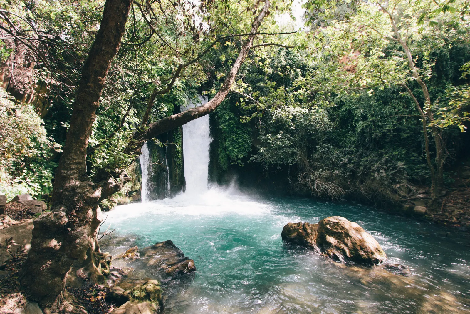 Ein Gedi Desert Oasis, Israel