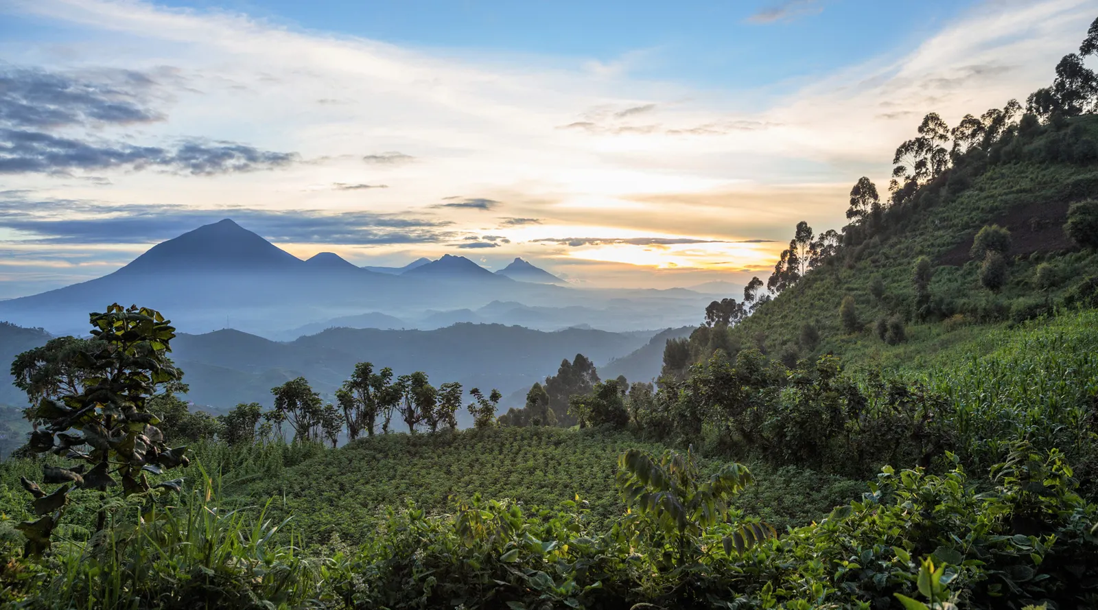 More about Uganda