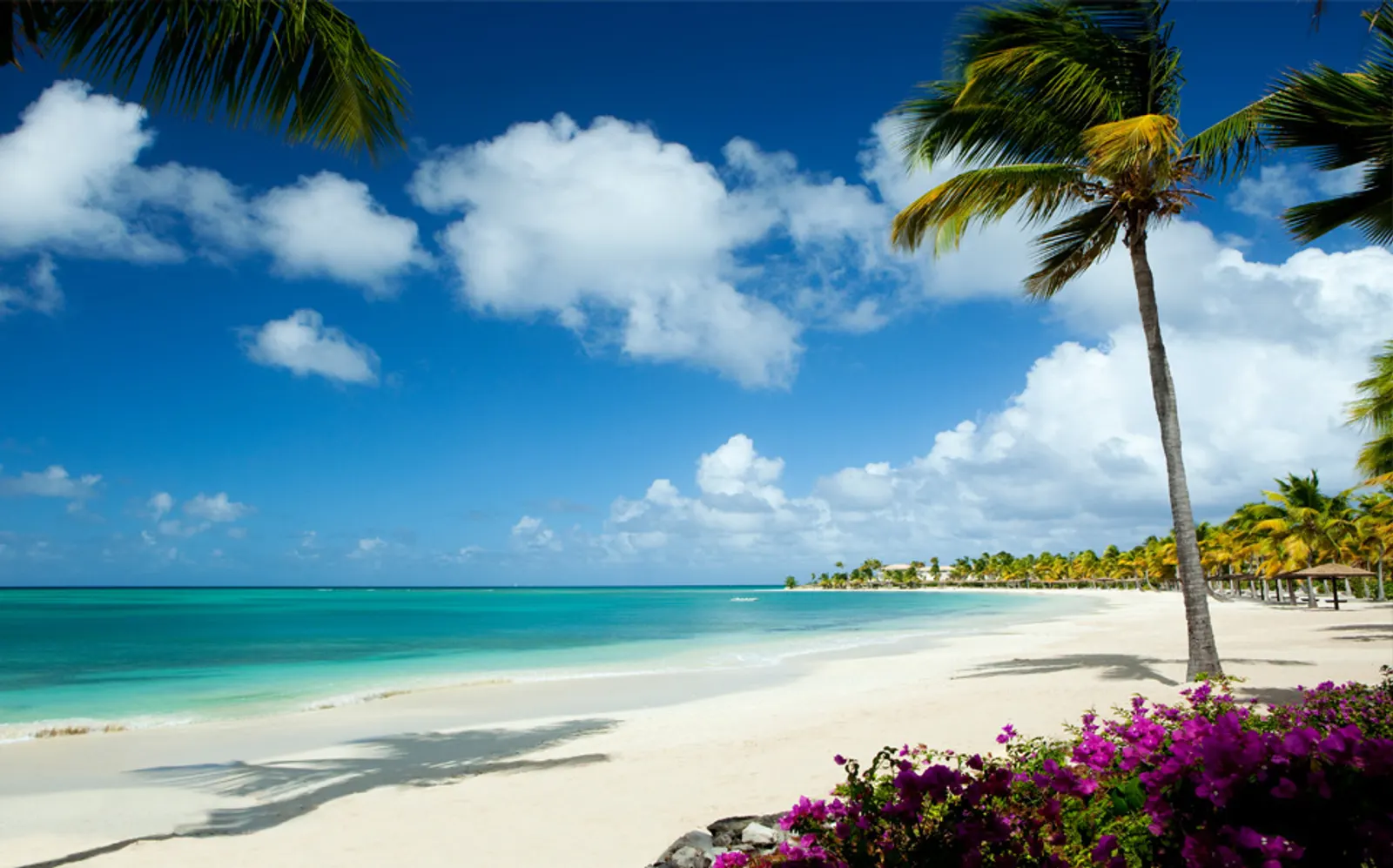 Ultimate Antigua: A Luxury Holiday of Sailing, Stingrays & Stargazing