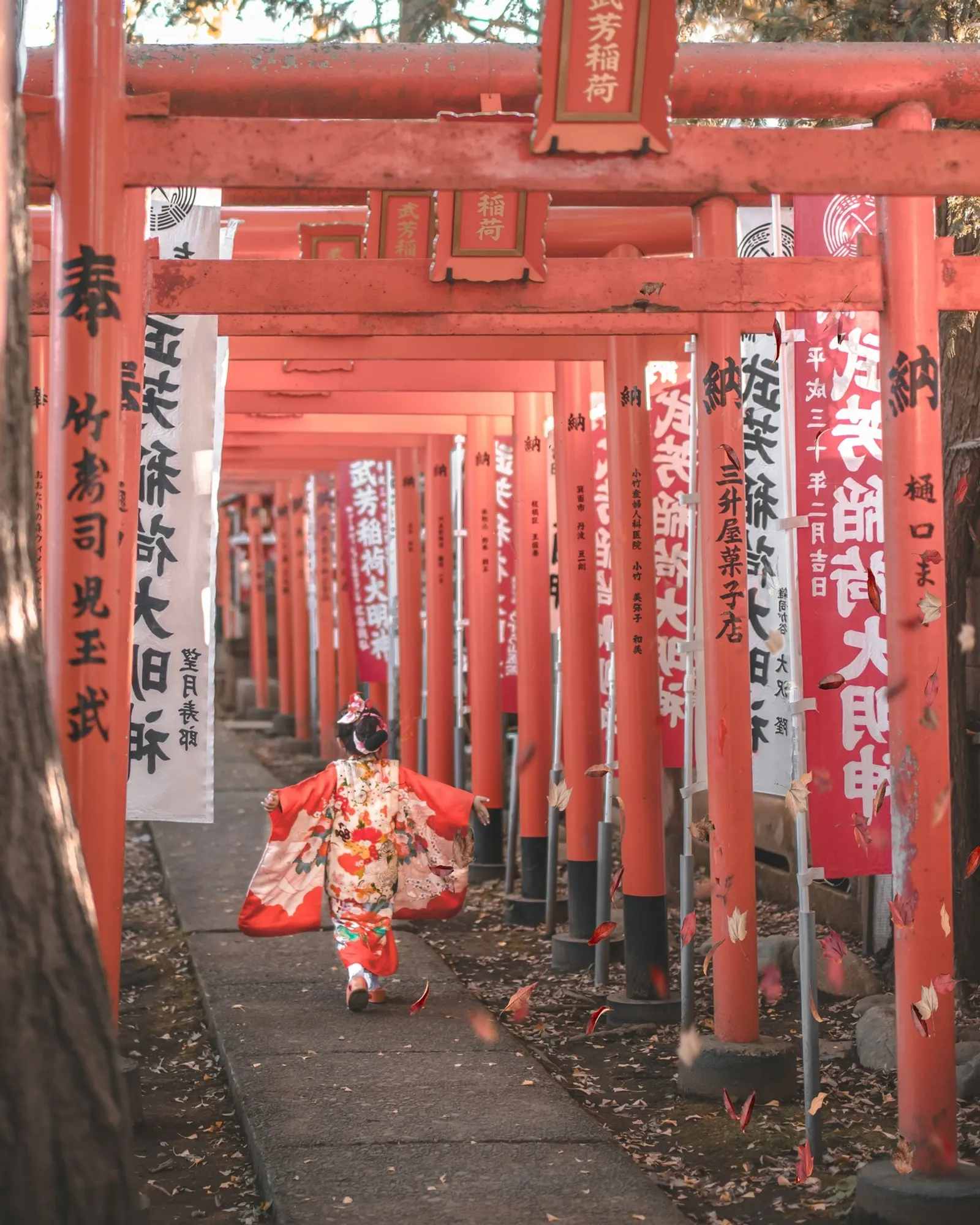 A Morning at a Sumo Stable
