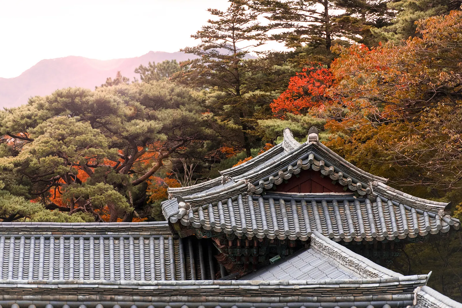 More about South Korea