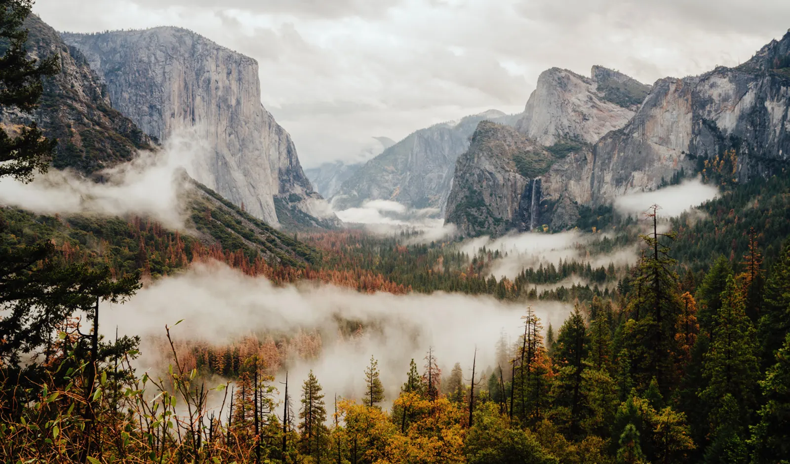 California: The Ultimate Luxury West Coast Discovery
