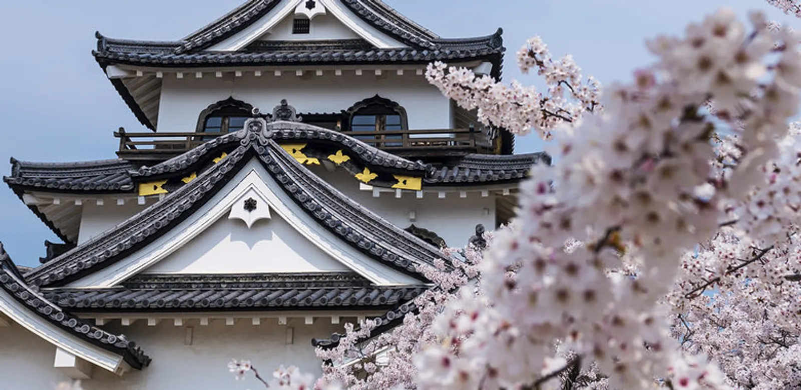 USA, Canada & Japan: Ski the Northern Hemisphere