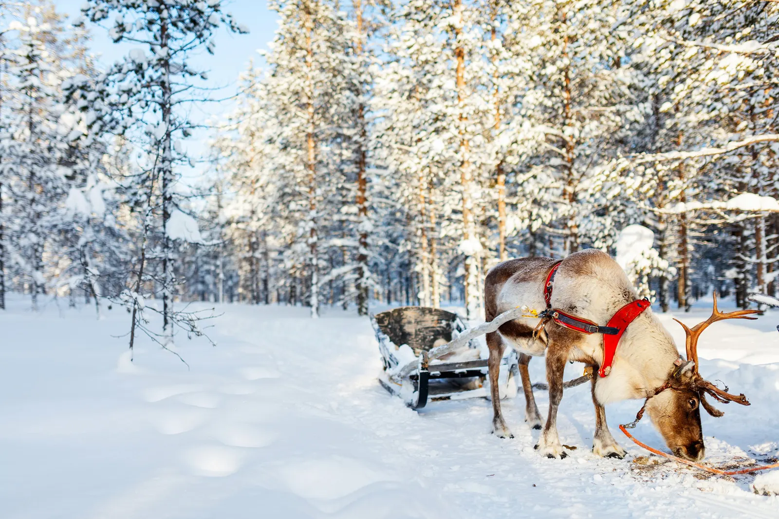 More about Finland