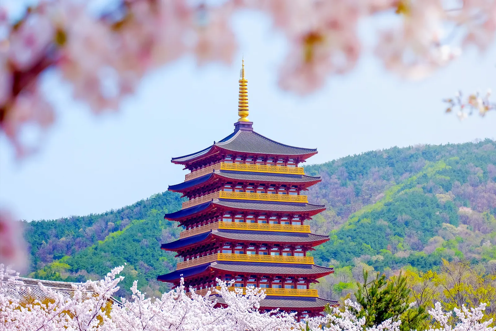 Japan
