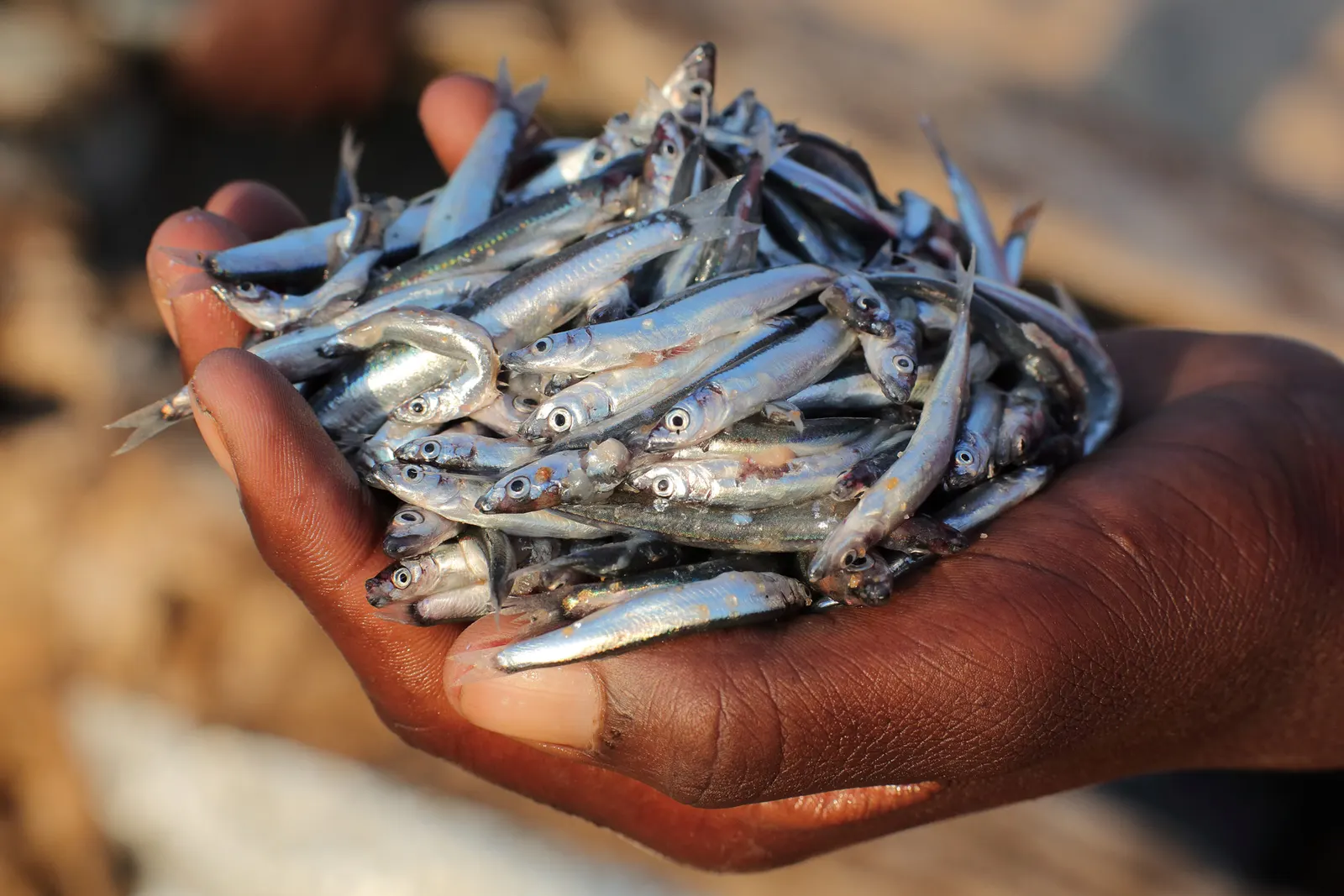 More about Malawi