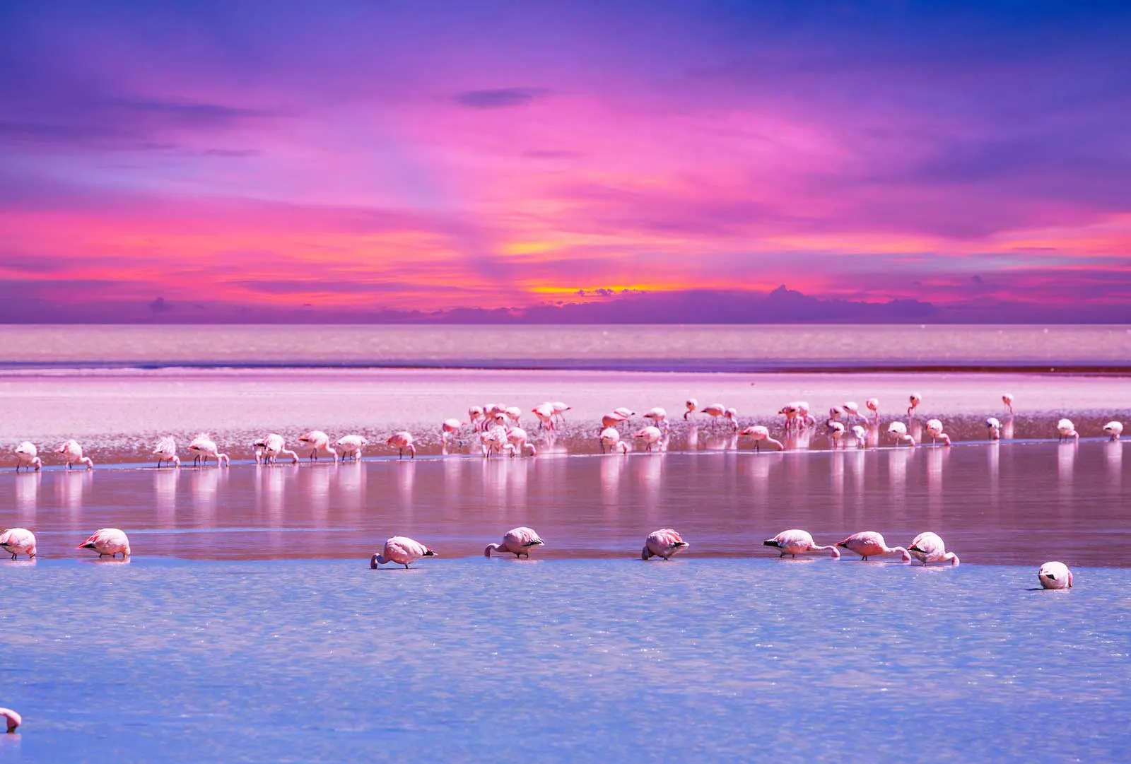 More about Bolivia