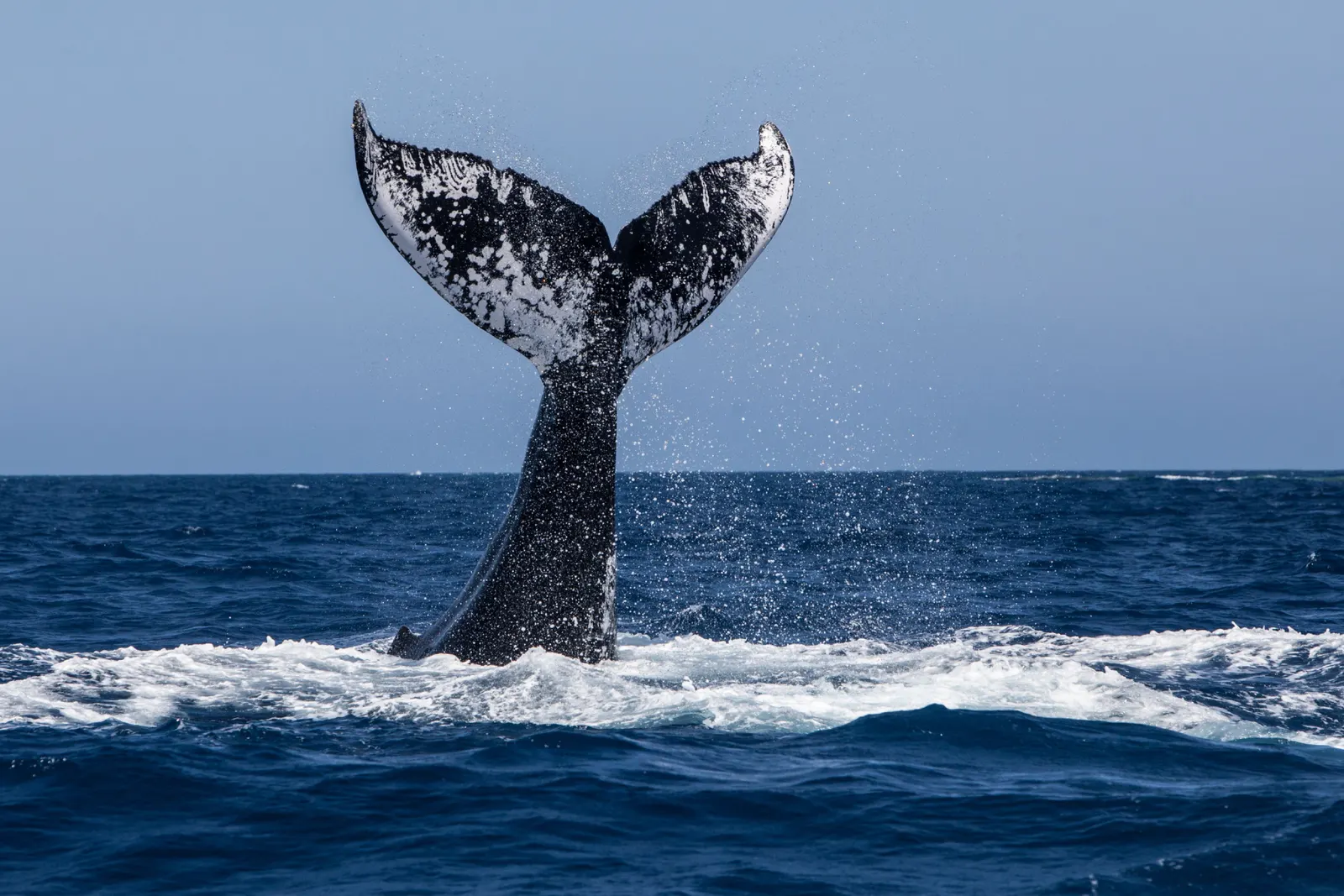 Luxury travel in North America