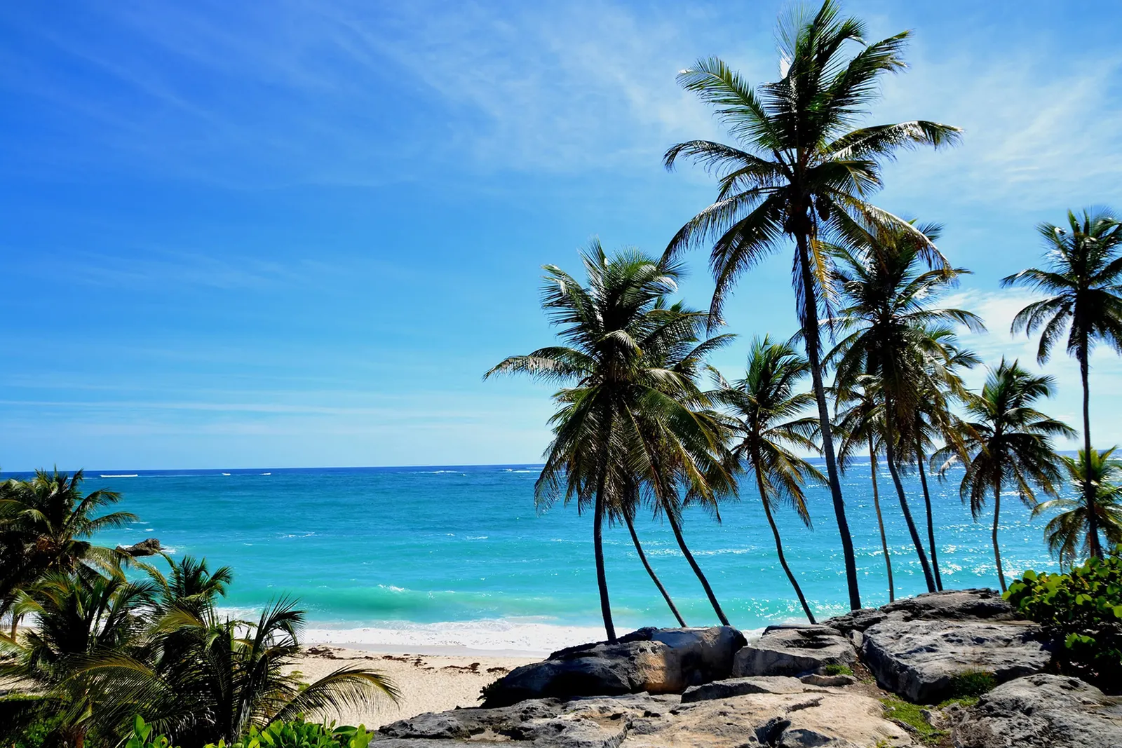 More about Barbados