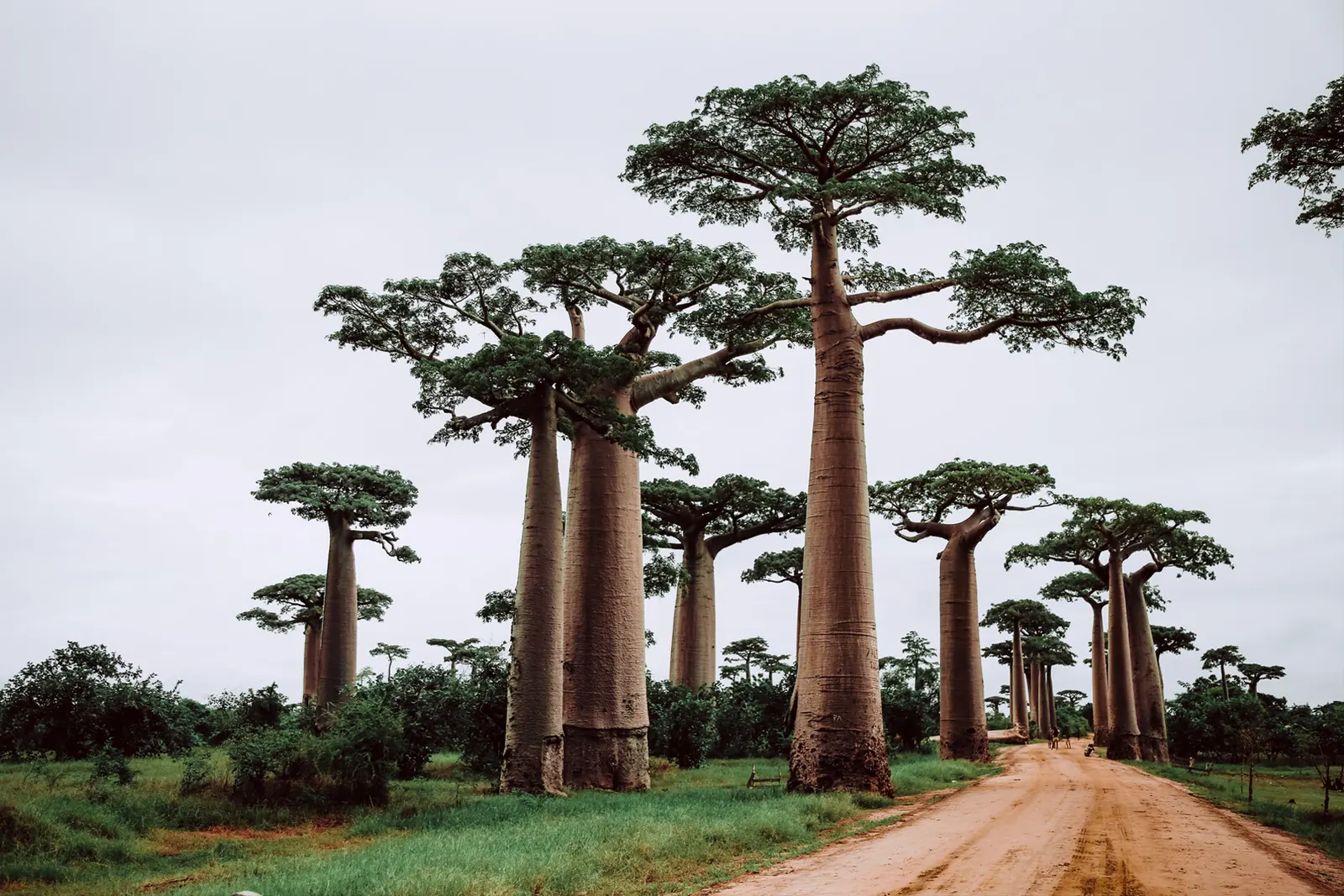 Luxury Holidays in Madagascar